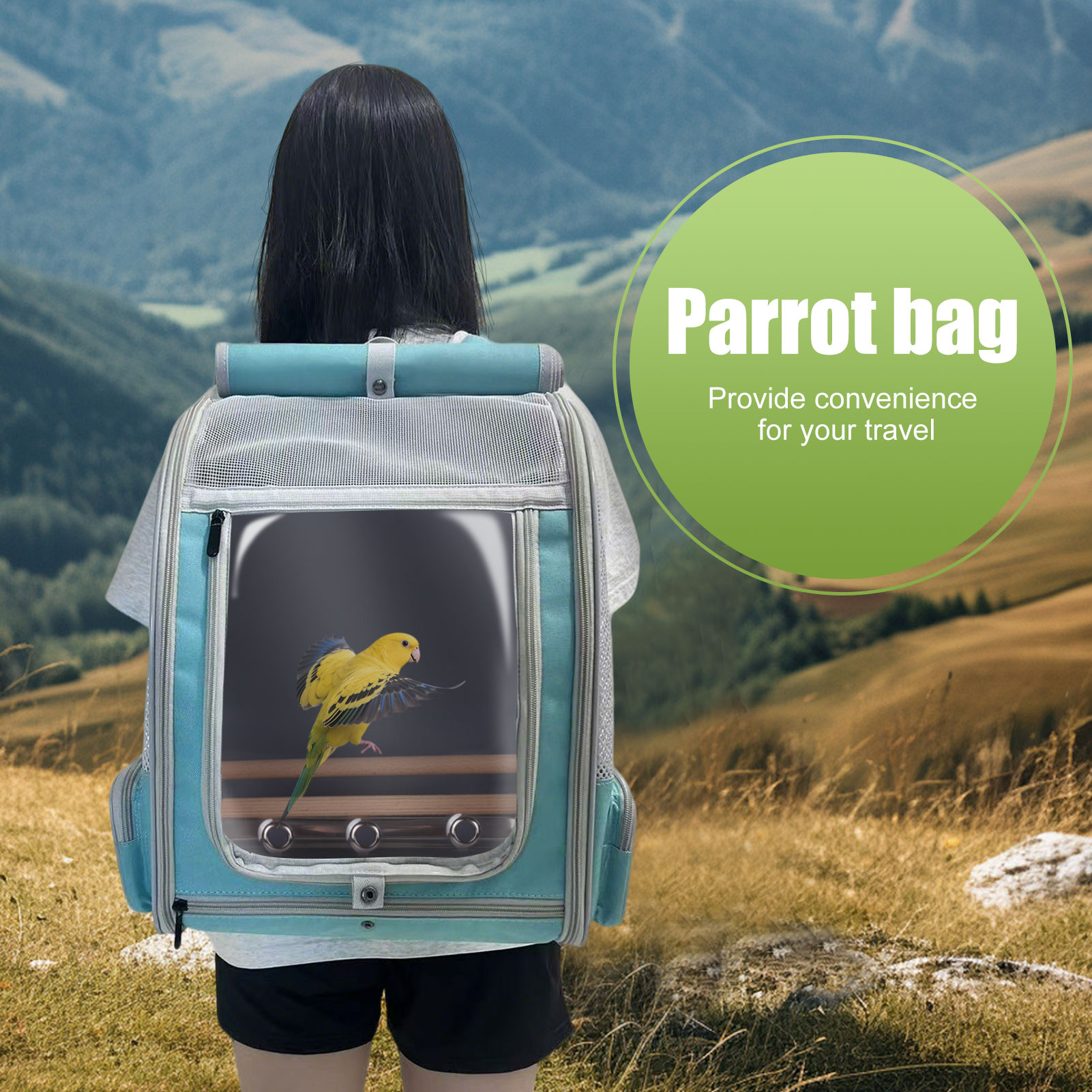Halinfer Breathable Bird Carrier Backpack with Standing Perches and Metal Tray, Green