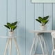 thumbnail image 1 of Planta artificial decorativa moderna con maceta Compacta Pack de 2 unidades Oak de 30cm de alto Artego para hogar sala comercio oficina, 1 of 9