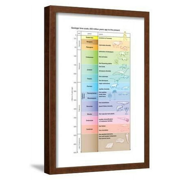 The geologic time scale from 700,000,000 years ago to the present, Framed Art Print Wall Art by Encyclopaedia Britannica Sold by Art.Com