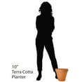 thumbnail image 3 of Pennington Red Terra Cotta Clay Planter, 10 inch Pot, 3 of 10
