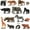 Tiny Safari Animals, variant on Toymany Tiny Farm Animal Figures Toy, 3.54 in, Halloween, Thanksgiving, Christmas, Easter, Plastic, Set of 14