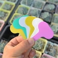 thumbnail image 1 of 100Pcs/Set Plant Tag Marker Gardening Planting Flower Tree Vegetable Farm Labels, 1 of 8