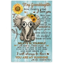 Never Forget That I Love You Quote Gift For Granddaughter From Grandmother Vertical Poster 11 x 17 Inch Poster
