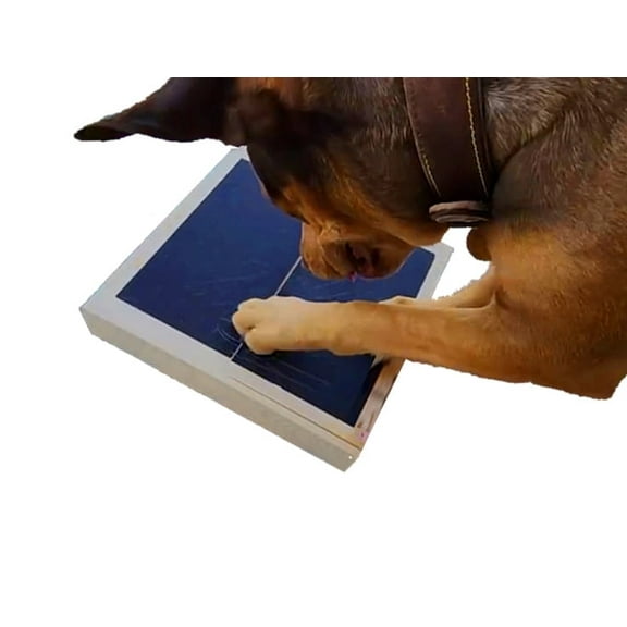 Dog Scratch Pad Nails Grinder Trimmers Clipper Board Paw Alternative pet Claw cat k9 Sanding Removal Emery File Treat Box Compartment Removeable lid (Scratch Box Kit)