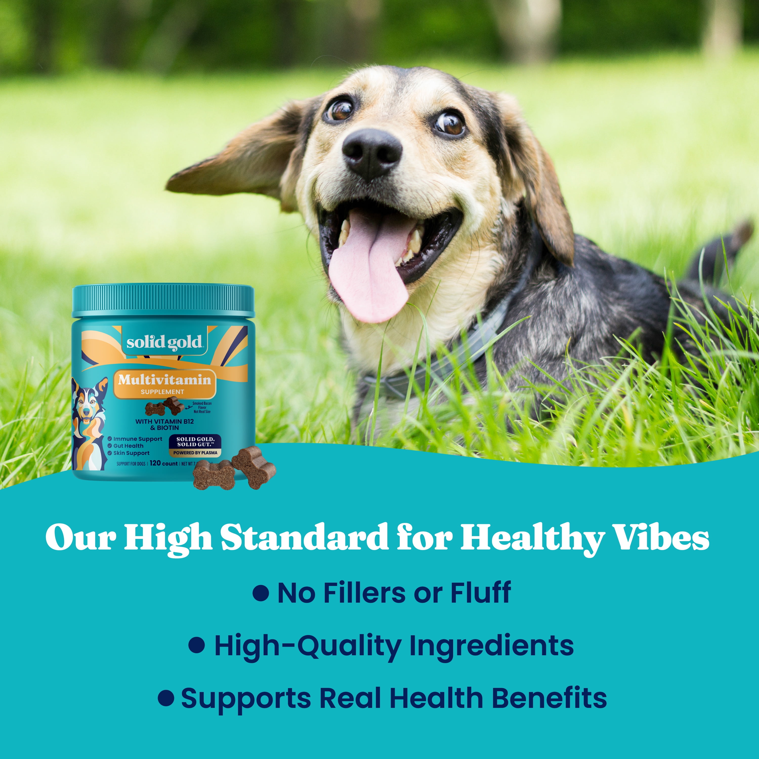 Solid Gold PetVites Multivitamin for Overall Health for Dogs, Bacon 120 ct