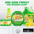 thumbnail image 4 of Gain + Odor Defense Fresh Splash Liquid Laundry Detergent (Pack 1) - 32 Loads, 46floz, 4 of 6