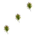thumbnail image 4 of Plantas artificiales realistas Billuyoard suculentas MM215 Verde ABS, 4 of 6