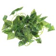 thumbnail image 2 of Cheers 2m Artificial Leaf Vine Scindapsus Aureus Plant Garland for Reptiles Terrarium, 2 of 5