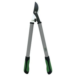 【ARBOR 新品未使用SHAKEDOWN 9x34】 Arbor Shakedown 34 Foundation 9