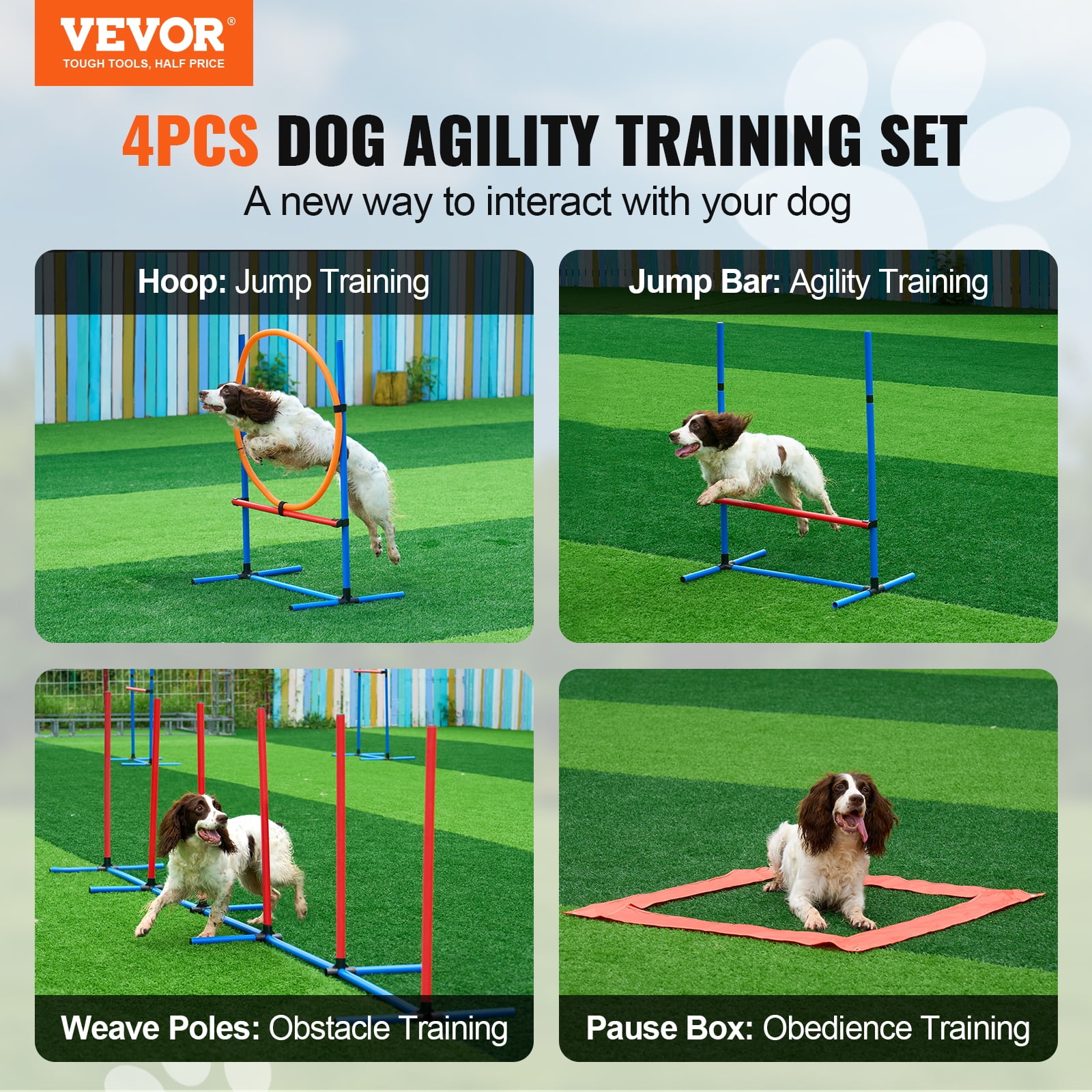 Dog training equipment online