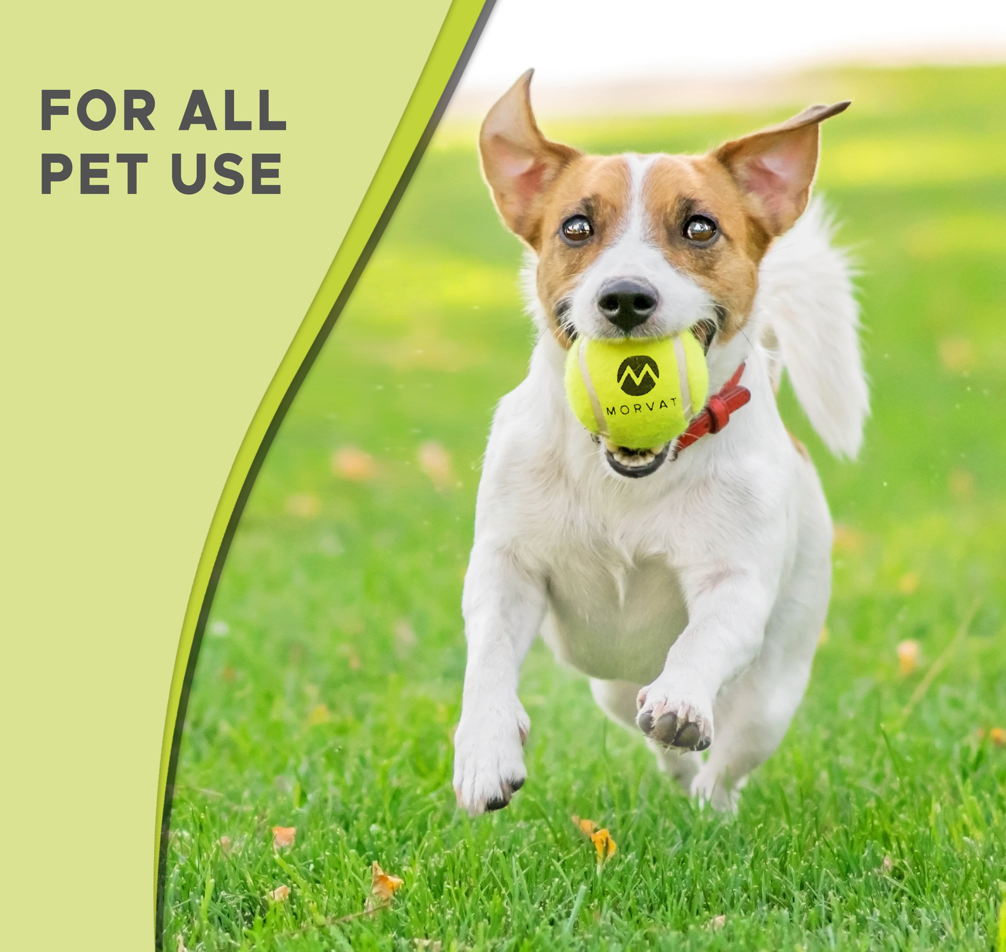 Morvat Professional Heavy Duty & High Pressured Tennis Balls, 12 Pack