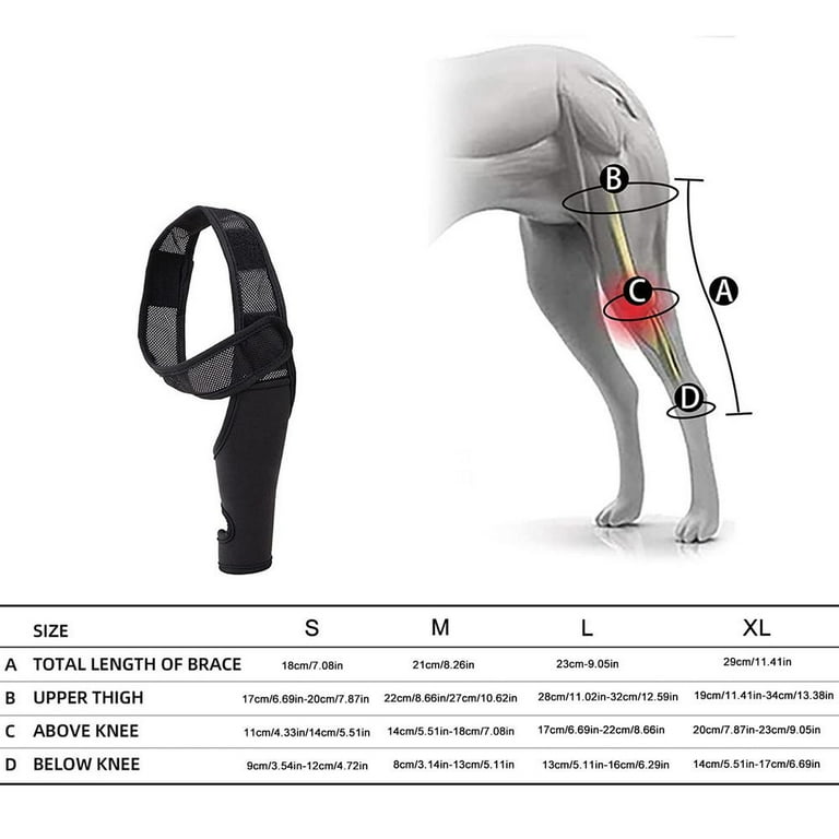 Knee brace for best sale knee cap dislocation