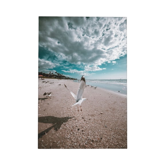 Seagull Canvas Framed Wall Art Coastal Ocean Beach Nature Seaside Bird Print Nautical Style Large Wall Decoration for Living Room Bedroom Office Bathroom Home Decor