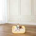 thumbnail image 4 of unbranded Pañalera Para Perros Con Borde Elevado Y Base Con Rejilla Para Uso Interior Color Amarillo, 4 of 6