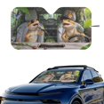 thumbnail image 2 of HUIACONG Bearded Dragon Driving Pattern Car Windshield Sun Shade, Easy Storage Foldable Car Accessories Cat Front Window Car Sun Shade for Car Front Windshield Window Trucks Universal, 2 of 7