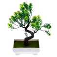 thumbnail image 1 of unbranded Planta Decorativa Bonsái Artificial De Plástico Con Lifelike Para Hogar, 1 of 7