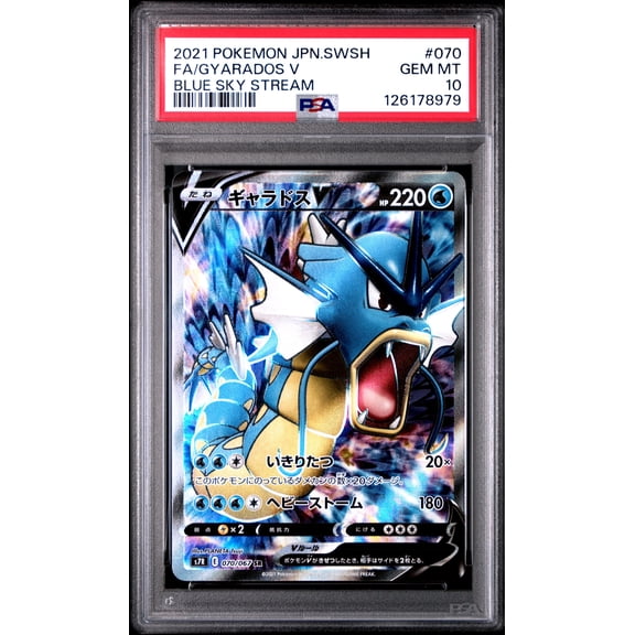 Graded 2021 PKM Japanese Sword & Shield s7R FA Gyarados V Full Art #070 Blue Sky Stream Trading Card Game PSA 10 Gem Mint