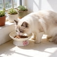 thumbnail image 5 of Elevated Cat Food Bowl, Ceramic Raised and Tilted Water Bowl, Anti Vomiting and Protect Pets' Spines Dishes for Small Dog, Fat Faced Cat, Kitten _ Yellow _ S, 5 of 6