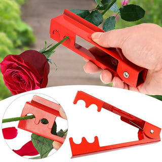 OZXNO 1 Set Rose Stem Leaf Thorn Stripper Stripping Tool Thorn Remove  (Pink) - Yahoo Shopping
