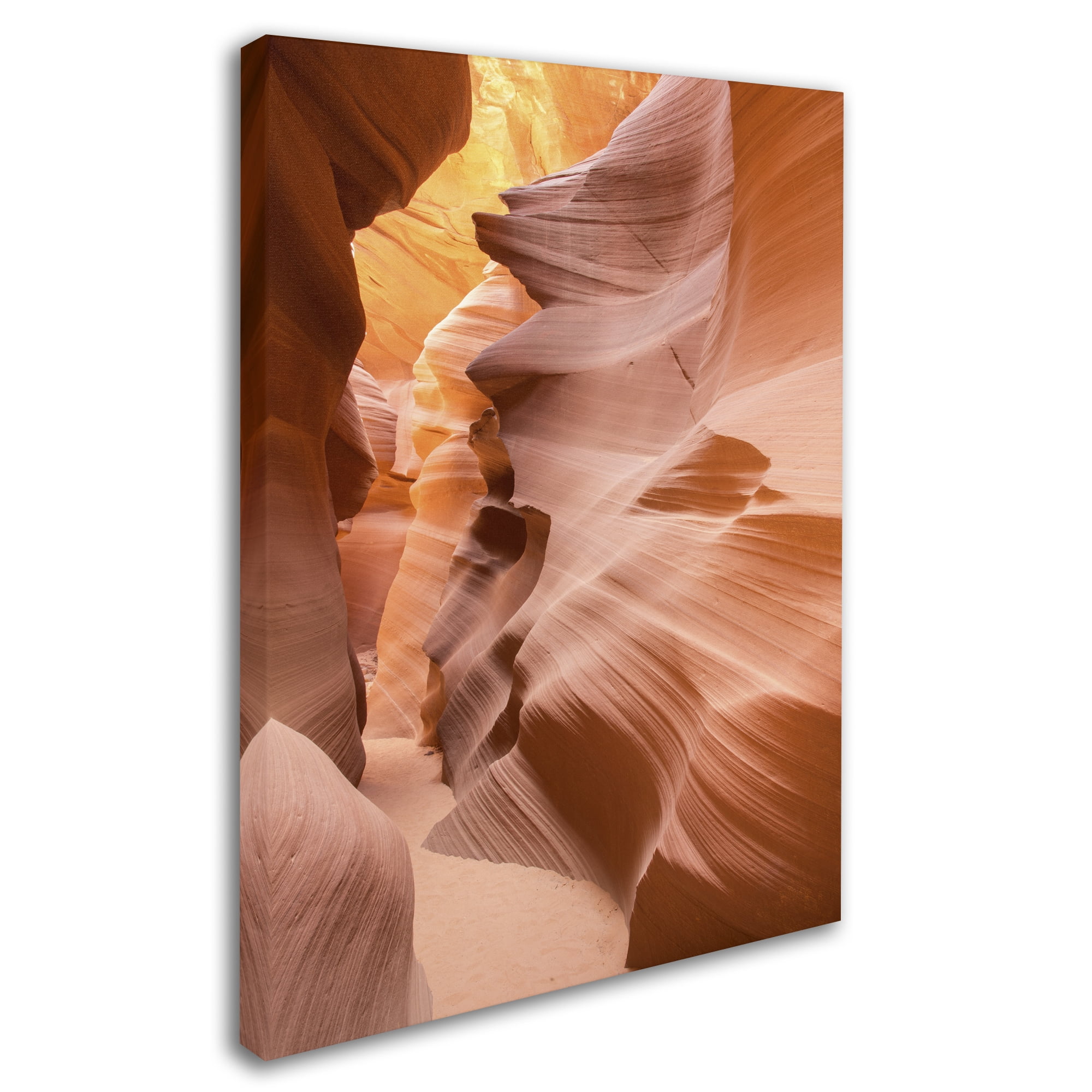 Moises Levy 'Welcome IV' Canvas Art
