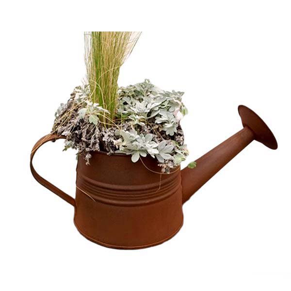 Rusty Watering Can Planter Set of 2