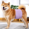 thumbnail image 4 of Duklien Dog Diapers for Male Dogs 1 Pc Washable Super Absorbent Puppy Belly Bands Reusable Pet Nappies Comfortable Wraps Doggy Sanitary Pants for Small Medium Large Dogs (Purple), 4 of 4