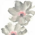 thumbnail image 3 of Paschke, Chris 12x12 Black Modern Framed Museum Art Print Titled - Gray Blush Cosmos II on White, 3 of 5