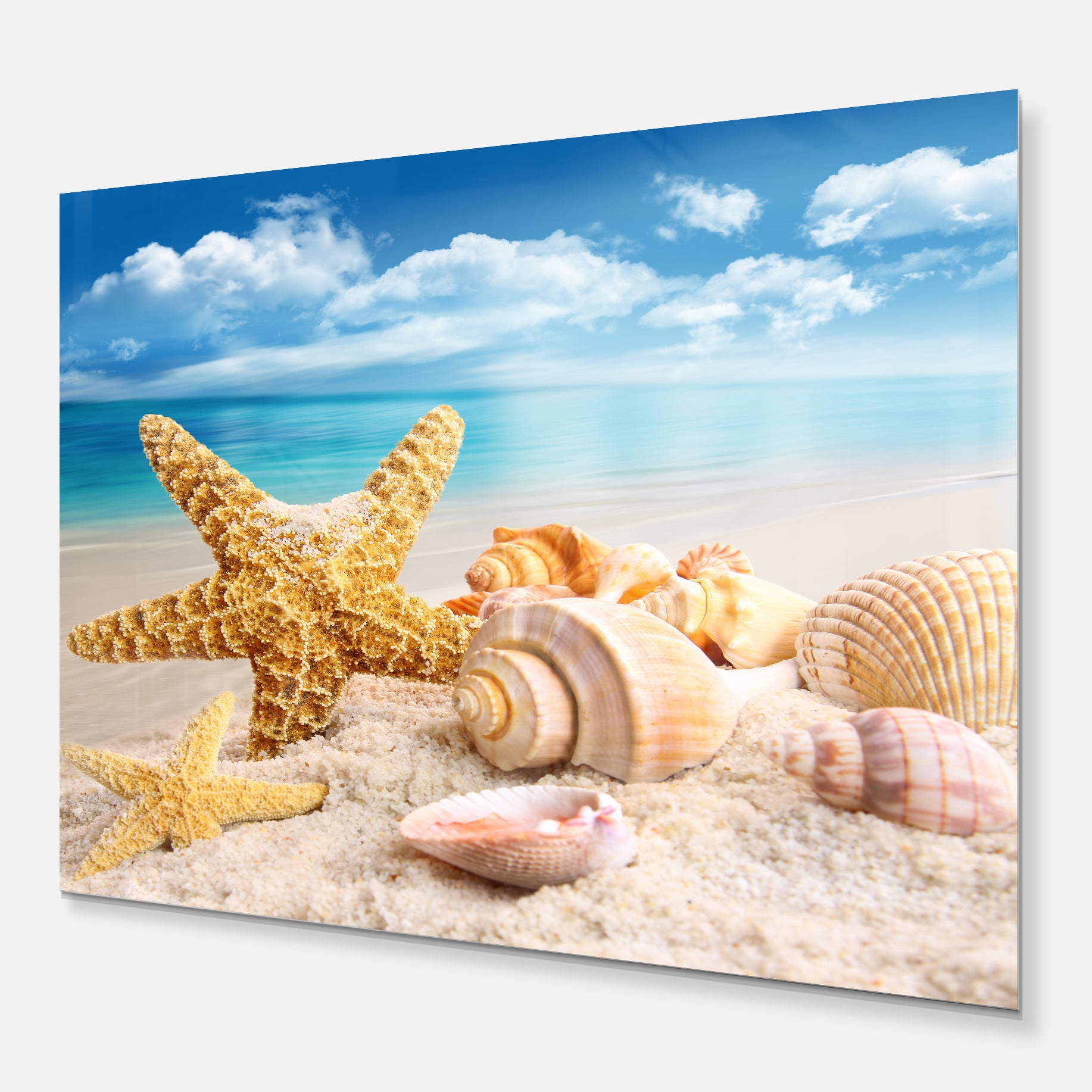 Starfish and Seashells on Beach 40.00" x 30.00" Photography Art Prints, by Designart