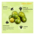 thumbnail image 4 of Limón agrio en malla 1 kilo, 4 of 4