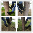 thumbnail image 3 of Tree Climbing Tool Pole Climbing Spikes for Hunt Shoes Tree Steel Climbing Simple Picking Observation Fruit Tool, 3 of 6