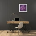 thumbnail image 3 of Frank, Assaf 15x15 White Modern Wood Framed Museum Art Print Titled - AF20100605 Alliums 151C08, 3 of 4