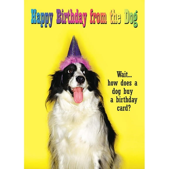 Happy Birthday from the Dog Greeting Card
