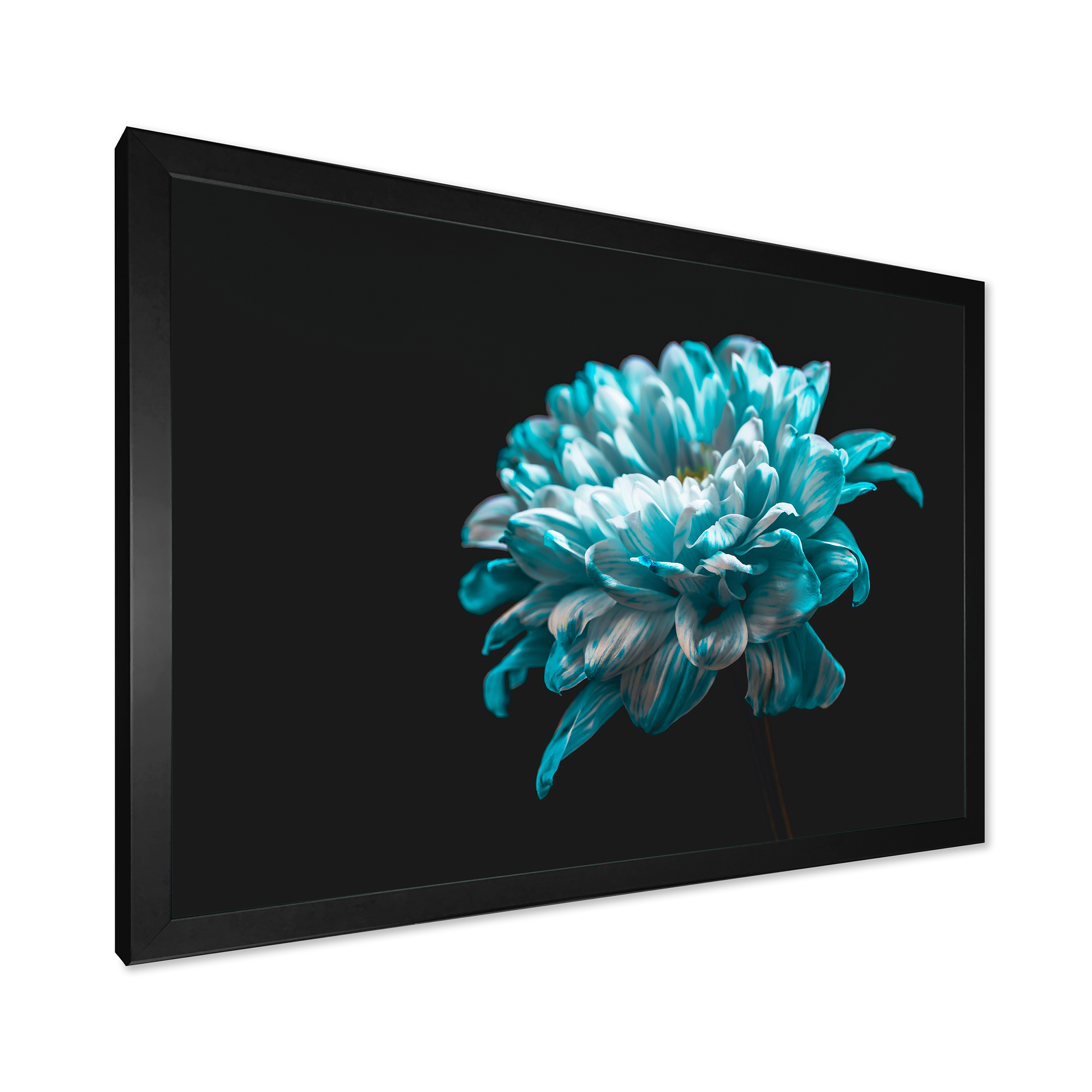 Designart 'Close Up Of White and Pure Blue Daisy Flower II' Traditional Framed Art Print