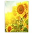 thumbnail image 2 of Bright Sunflowers Blooming on Field - Large Animal Canvas Art Print, 2 of 3
