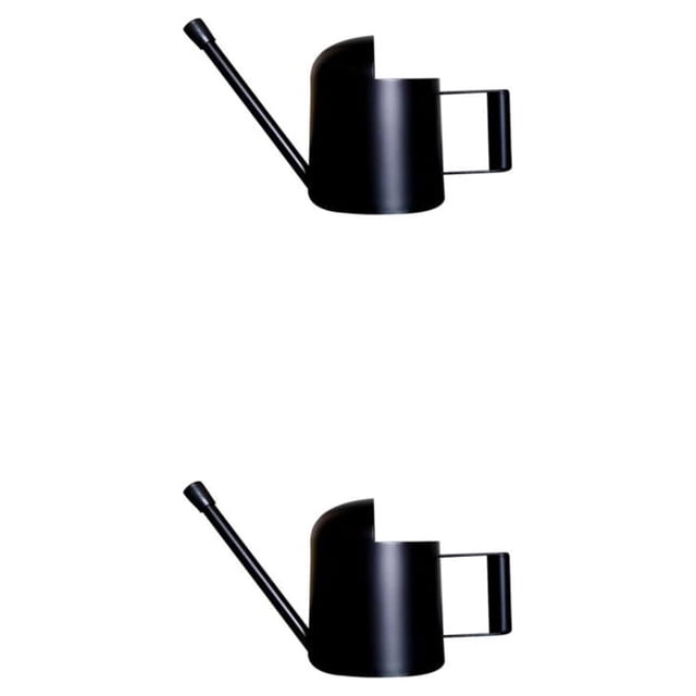 Botella de riego Naiovety 300ml Acero inoxidable para plantas en maceta 2Conjunto Negro