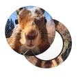 thumbnail image 2 of Balery Close-Up Curious Squirrel Round Bar Stool Seat Covers Velvet Fabric Adjustable Protects from Scratches and Stains for 14-17 Inch Chair-14 inch, 2 of 7
