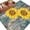 Yellow, variant on Large Area Rugs for Living Room Bedroom, Yellow Sunflowers Vintage 5'x8' Rug Washable Carpet Runner Indoor Outdoor, Turquoise Gradient Wooden Grain Non Slip Floor Mats Rug for Kitchen, Bathroom