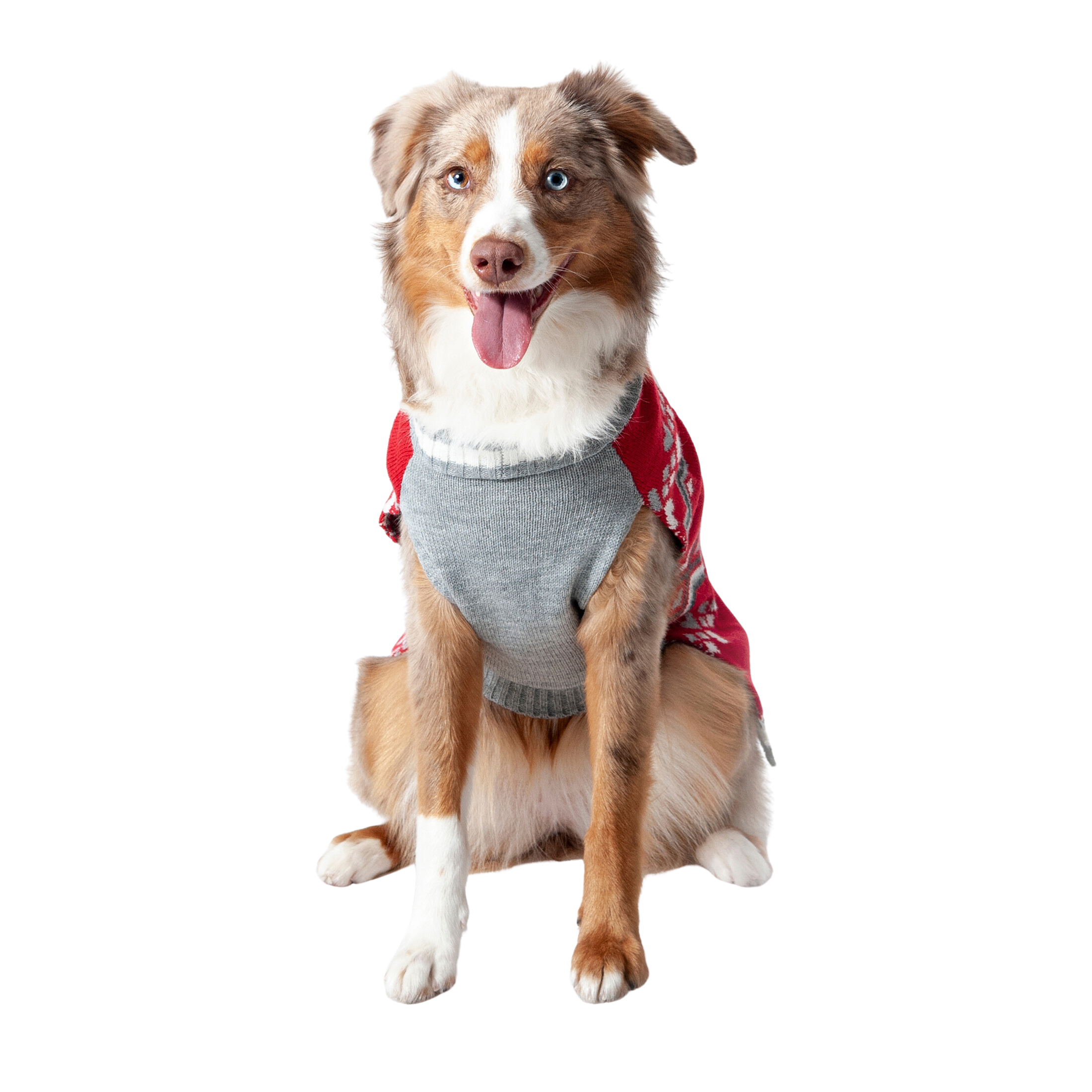 Vibrant Life Winter Dog Clothes Spoiled Red Sweater, Medium