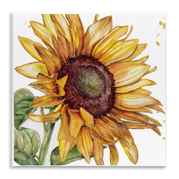Stupell Industries French Country Modern Sunflower Close Up Wall Plaque Art, 12 x 12, by Studio 731 rep. Levison Designs