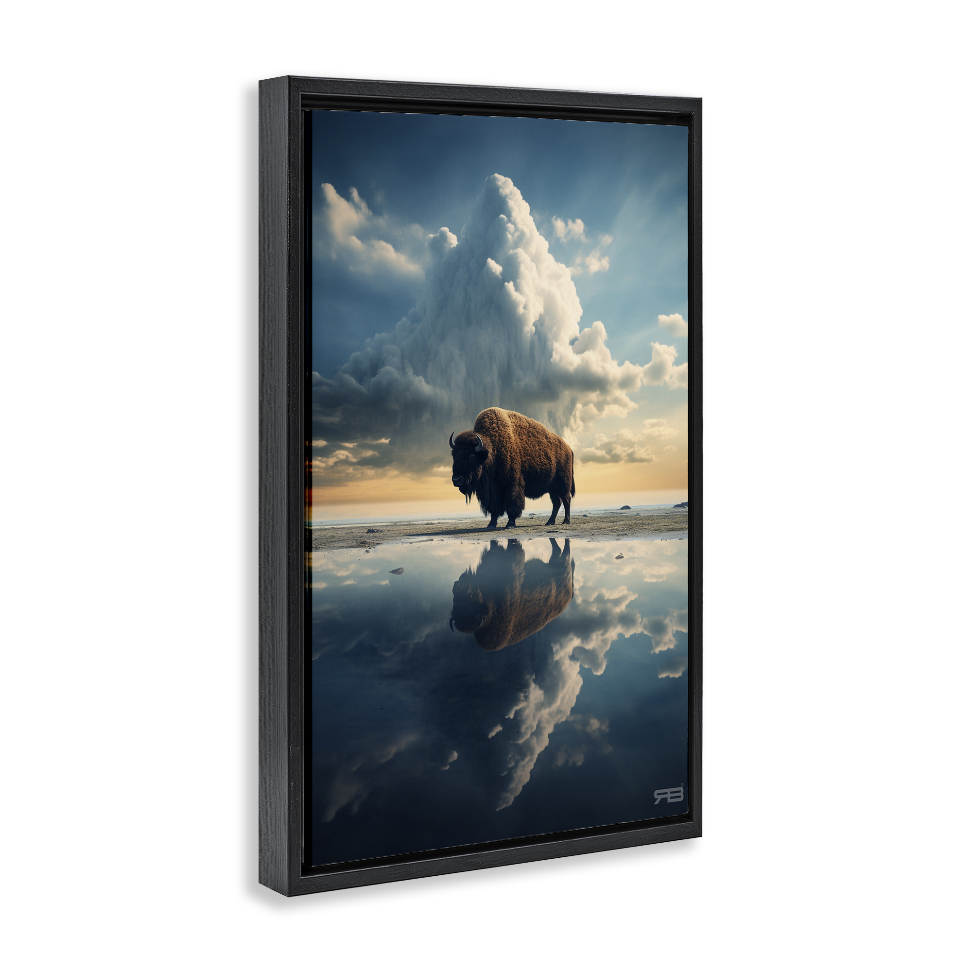 Stupell Industries Bison & Reflective Clouds Landscape Painting Black Floater Framed Art Print Wall Art, 21 x 31
