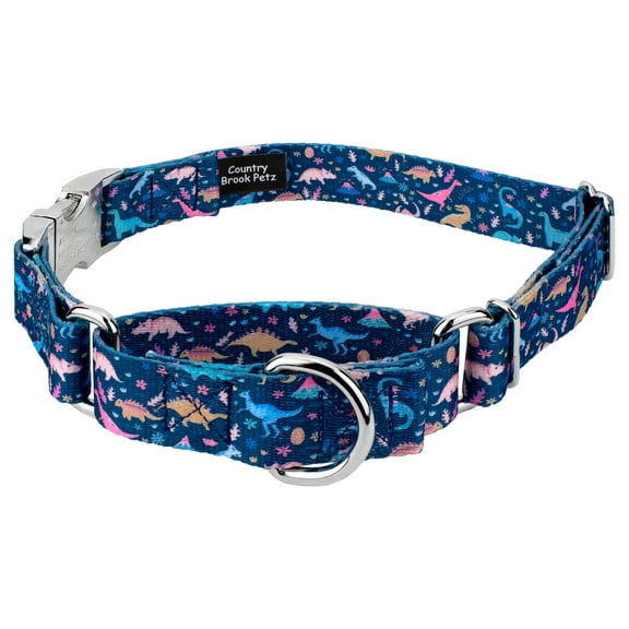Country Brook Petz® Dinosaurs Martingale Dog Collar with Premium Buckle, Large