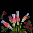 thumbnail image 2 of 100PCS Rose Buds Protection Mesh Cover - Rosebud Protective Netting Covers, 2 of 9