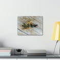 thumbnail image 3 of Funny Wasp Silly Wasp Scene Inside Wall Art Ready to Hang Unframed, 3 of 7