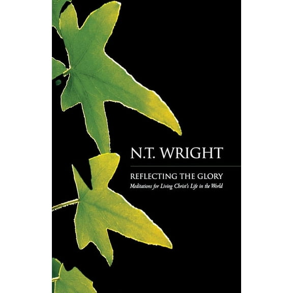 Reflecting the Glory (Paperback)