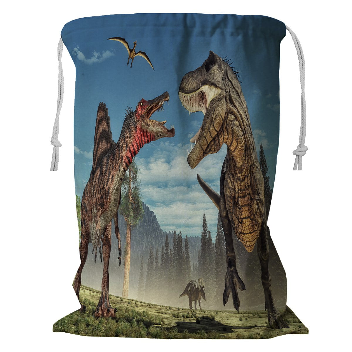 dinosaur storage