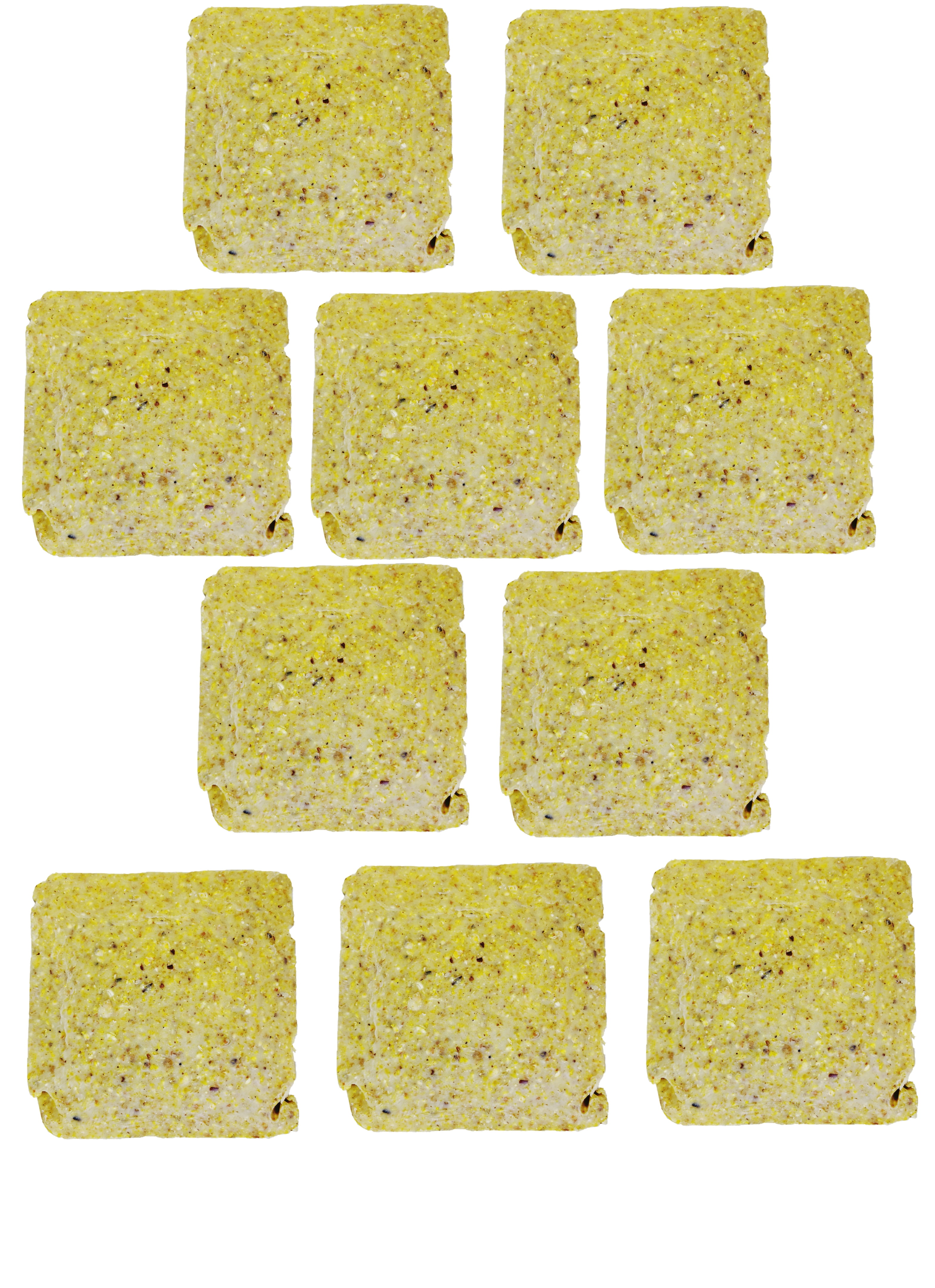 Wildlife Sciences Woodpecker Pecan Suet Cake 10 Pack for Wild Birds