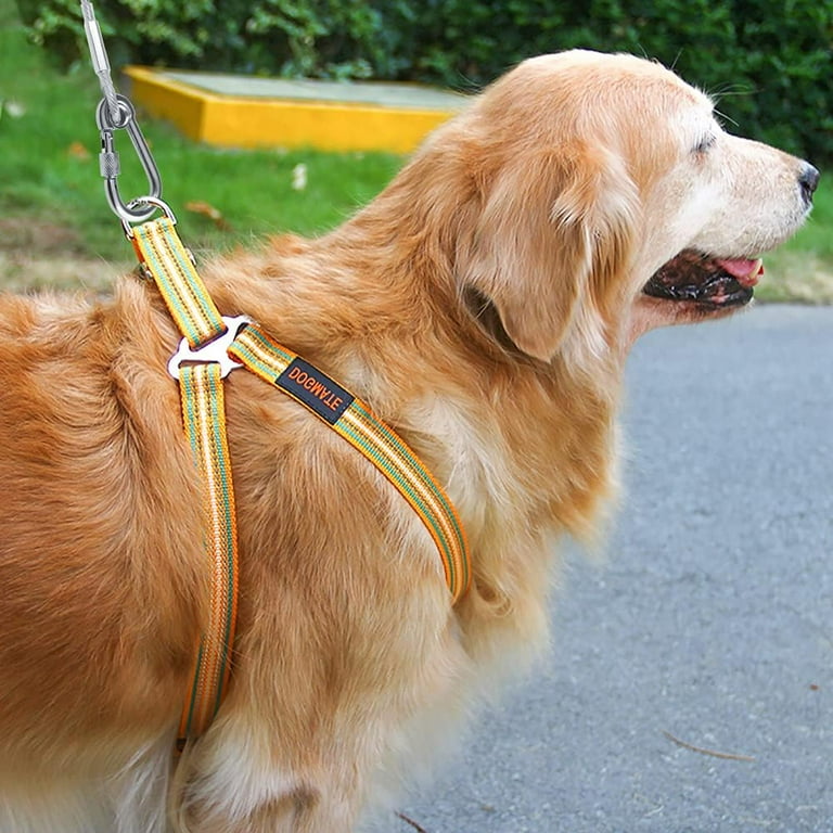 Dog cable cheap run walmart