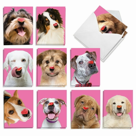 The Best Card Company 20 Assorted Valentine's Day Notecards Boxed Set 4 x 5.12 Inch with Envelopes (10 Designs, 2 Each) Heart Dogs AM9161VDG-B2x10