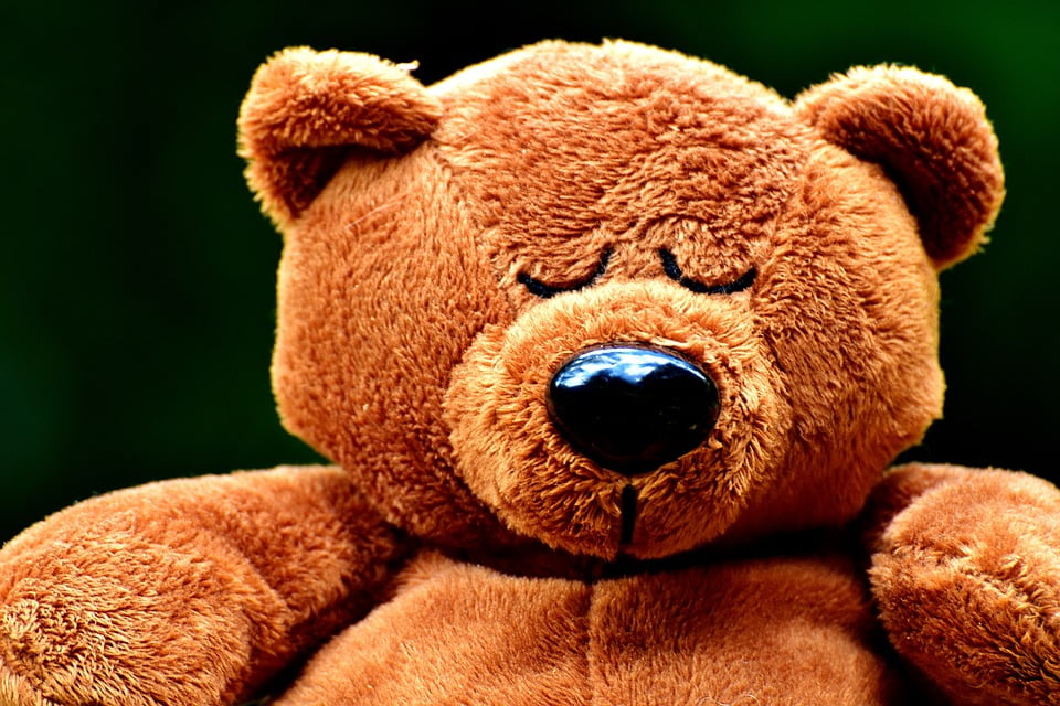 Teddy Plush Soft Toy Cute Teddy Bear Sleep-12 Inch By 18 Inch Laminated Poster With Bright