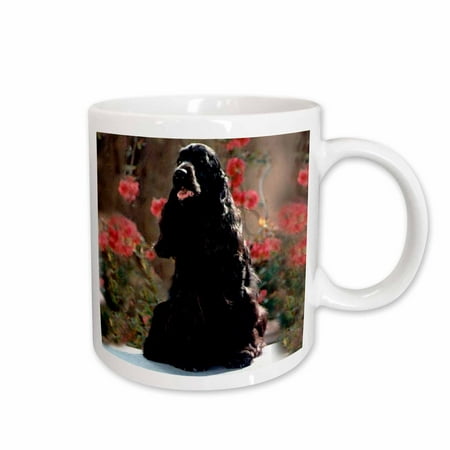 

3dRose English Cocker Spaniel Black Ceramic Mug 11-ounce